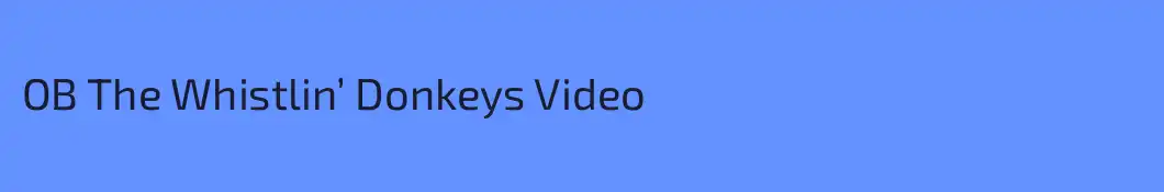 OB The Whistlin’ Donkeys Video